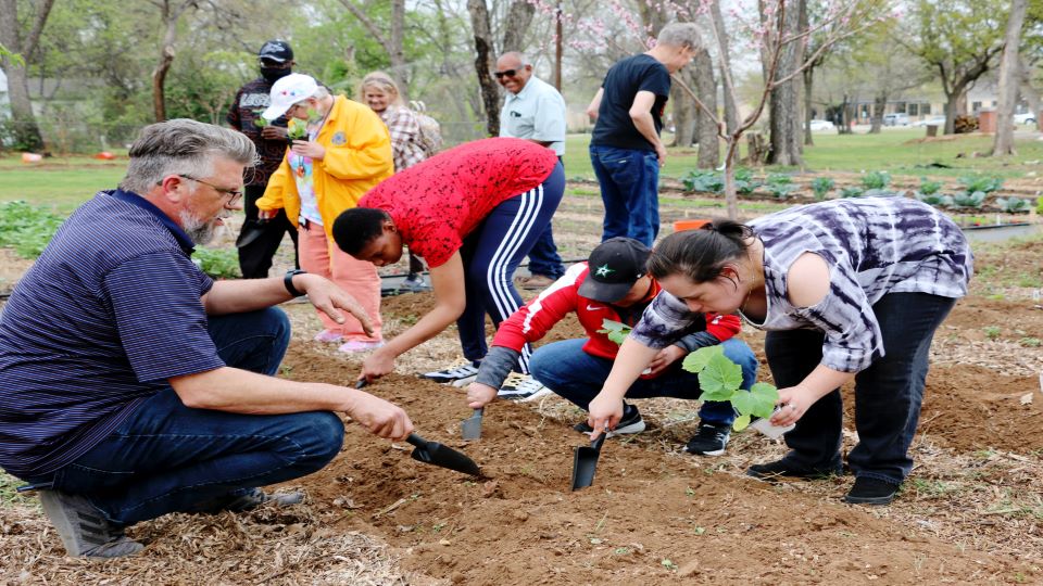 Connexion_Planting_with_the_Community